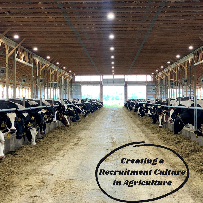 Creating a Recruitment Culture in Agriculture
