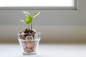 What Is The Difference Between A Financial Planner And Financial Advisor?