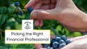 Picking a Financial Professional in the New Year