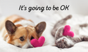 Why it's going to be OK (hope inside)