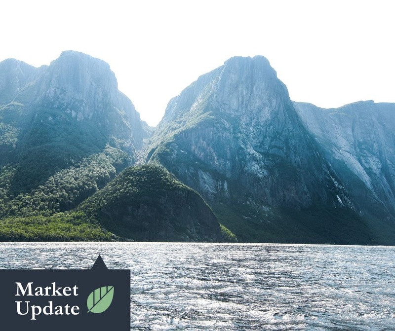 Market Update | August 12, 2024