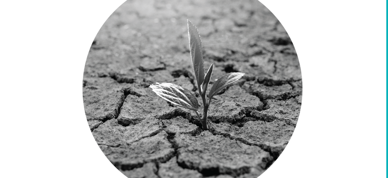 Geopolitical Update: Staying Focused