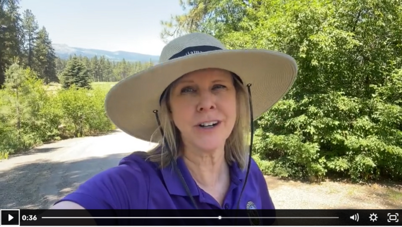 Live Ready:  Prepare, Organize, and Shred