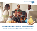 Little Known Tax Credits for Business Owners