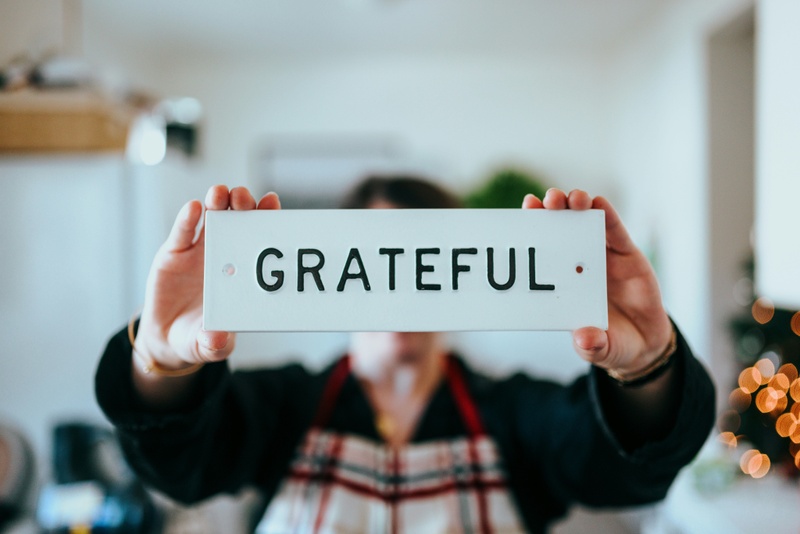 The Gratitude Portfolio