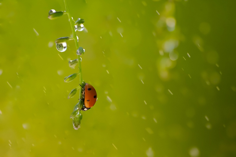 Does Your Homeowners Insurance Cover Water Damage and Sewer Backup in Rome, GA?