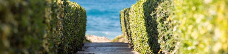 Retirement & Rising Costs: Managing Inflation Risk