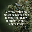 Psalm 139:13