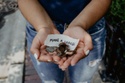 Feeling Philanthropic? A Charitable Planning Primer