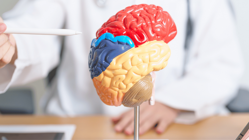 How to Retrain Your Brain as You Age