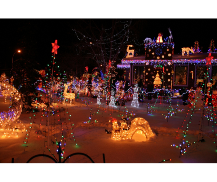 Lights, Camera, Holidays