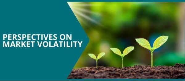 Perspectives on Market Volatility