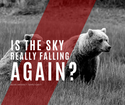 Is the sky really falling (again)?