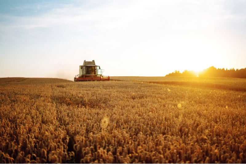 What We Can Learn from Harvest Season