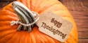Happy Thanksgiving! What We Are Thankful For