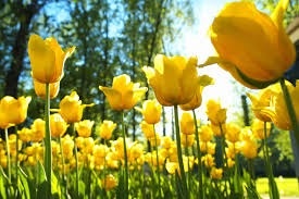 Spring Cleaning: 5 Planning Tips After Tax Day
