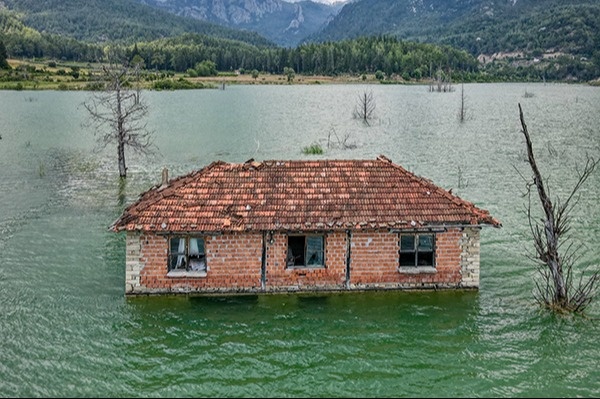 Who Might Help You Recover from Homeowners’ Losses? (Hint: It’s not FEMA)