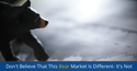 Don't Believe This Bear Market is Different - It's Not