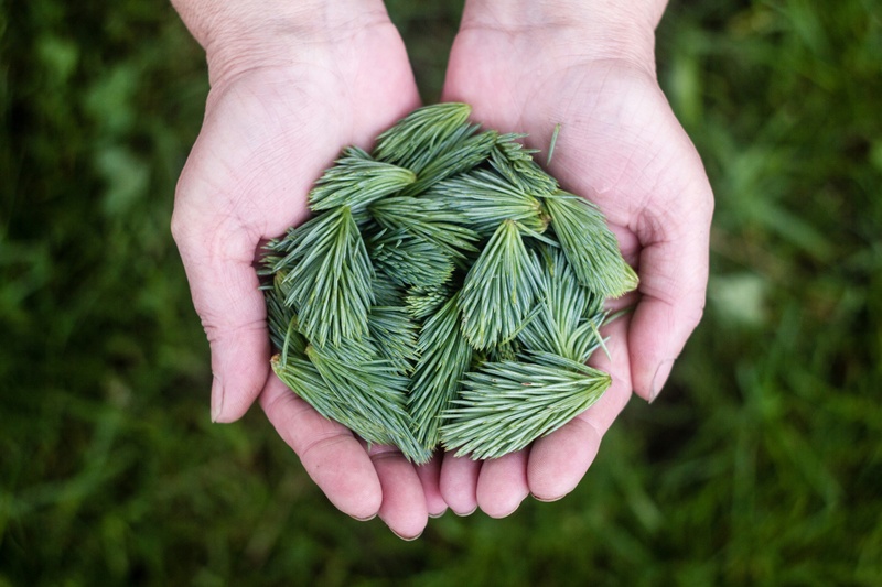Smart Giving: Charitable Strategies That Make Your Money (and Heart) Go Further