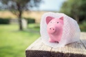 Considering the SVB Collapse