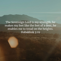 Habakkuk. 3:19