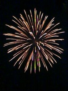 Embrace the New Year with Comprehensive Financial Planning