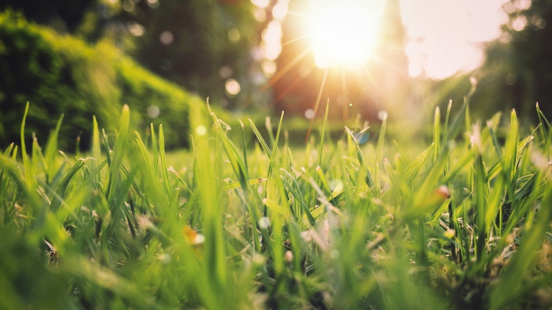 Spring is in the Air!
