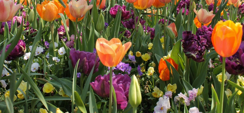 Spring Cleaning Your Finances: A Fresh Start for Your Financial Life