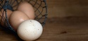 Don't Put All Your Eggs in One Basket...or Should You?