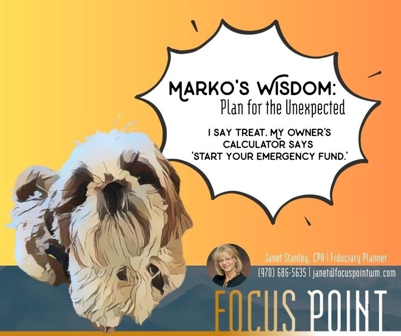 Marko's Wisdom