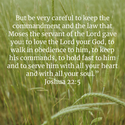 Joshua 22:5