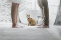 7 Helpful Steps for Budgeting After a Divorce
