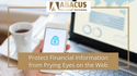 Protect Financial Information from Prying Eyes on the Web