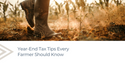 Year-End Tax Tips Every Farmer Should Know
