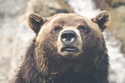 A Bear Market is Officially Here