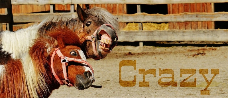 Amidst Crazy Week, Markets Continue to Rally - Dec 6 Market Recap