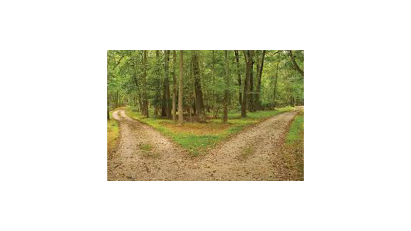 The road not taken
