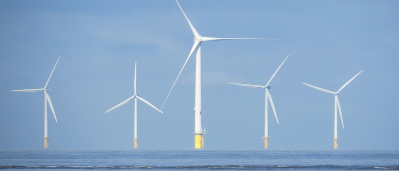 January Market Insights: A Steady Economy Amid Shifting Winds