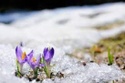 Winter to Spring