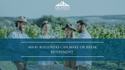 401(k) Rollovers Can Make or Break Retirement