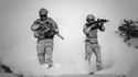 No Market Roar Due to War