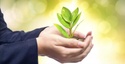 Concentrated Positions and Donor-Advised Funds