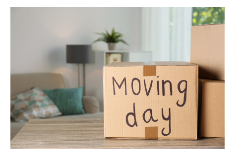 Downsizing as an Empty Nester