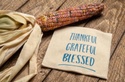 Happy Thanksgiving: Reflecting on What We Are Most Grateful For