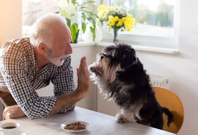 The Bond Between Seniors and Pets:  A Lifelong Friendship