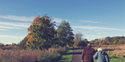 Paving Your Road to Retirement
