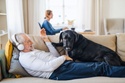 Top Picks of Dog Breeds for Seniors with Busy or Quiet Lives
