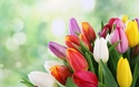 First Day of Spring