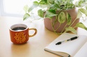 The Ultimate Guide to Retirement Plans for Small Businesses