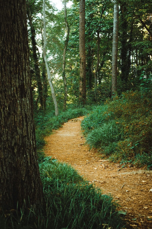 Charting Your Financial Path Forward